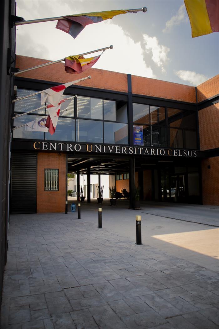 Galería CELSUS 21